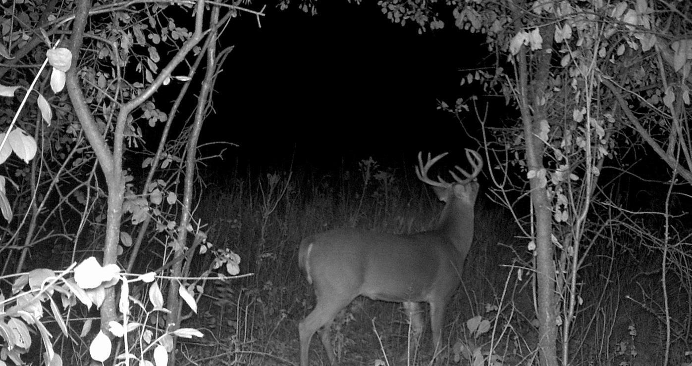 Tbd East Burns Valley Road Winona, MN 55987 - Photo 58 of 82