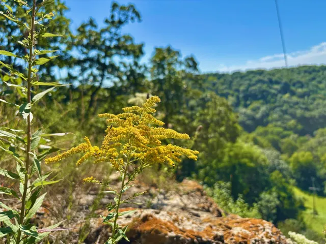 $184,000 | Tbd East Burns Valley Road, Winona, MN 55987