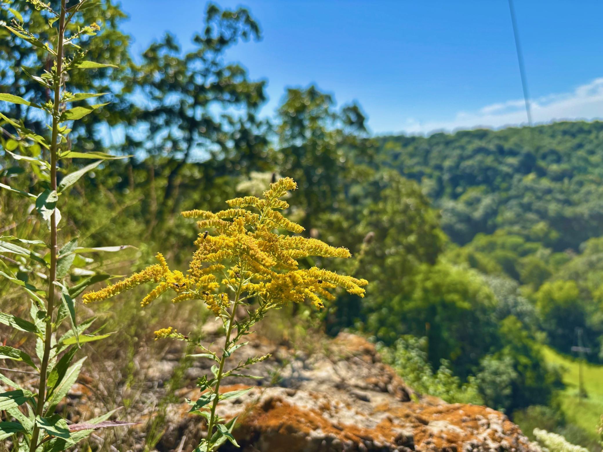 Tbd East Burns Valley Road Winona, MN 55987 - Photo 65 of 82