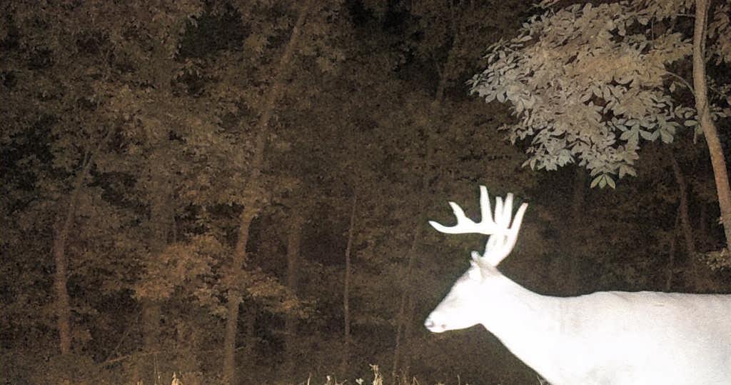 Tbd East Burns Valley Road Winona, MN 55987 - Photo 66 of 82