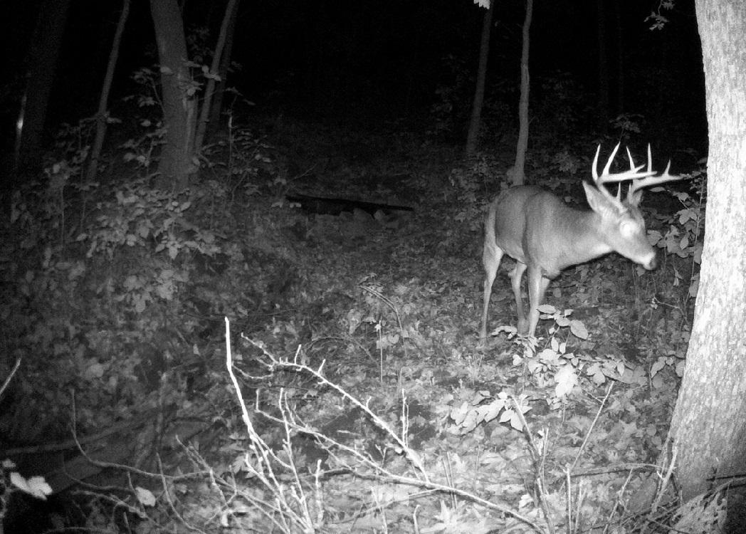 Tbd East Burns Valley Road Winona, MN 55987 - Photo 70 of 82