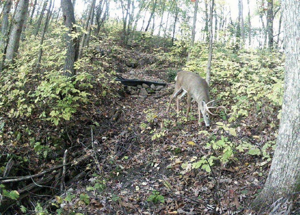 Tbd East Burns Valley Road Winona, MN 55987 - Photo 7 of 82