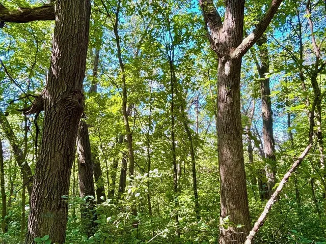 $184,000 | Tbd East Burns Valley Road, Winona, MN 55987