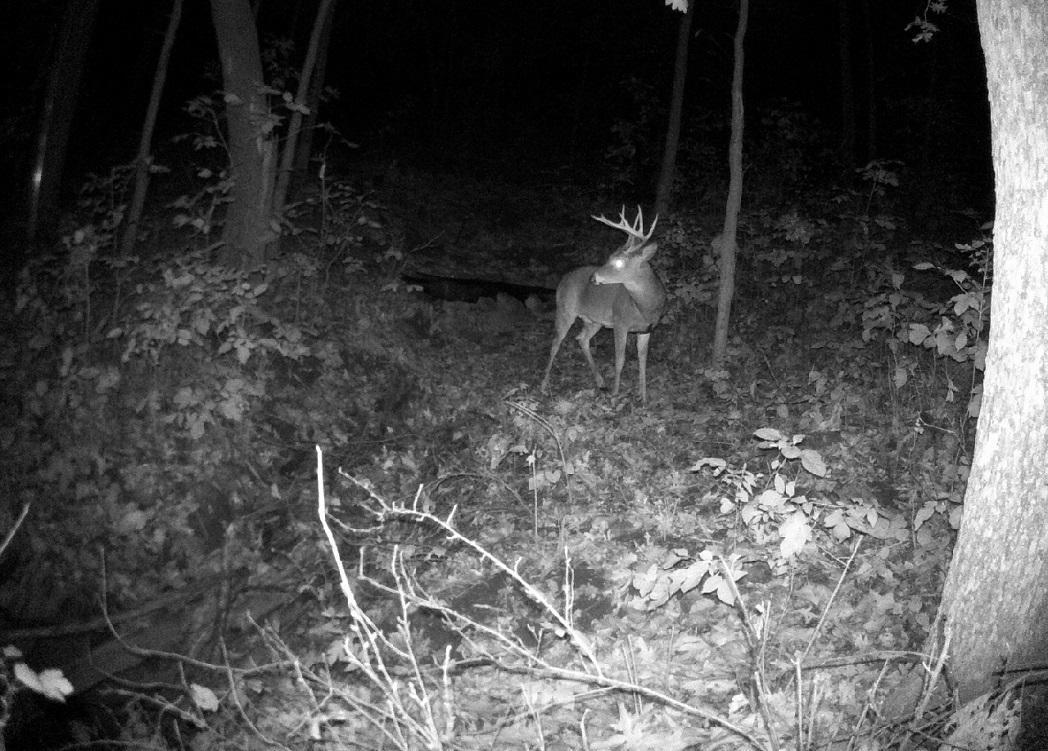 Tbd East Burns Valley Road Winona, MN 55987 - Photo 74 of 82