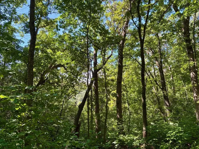 $184,000 | Tbd East Burns Valley Road, Winona, MN 55987