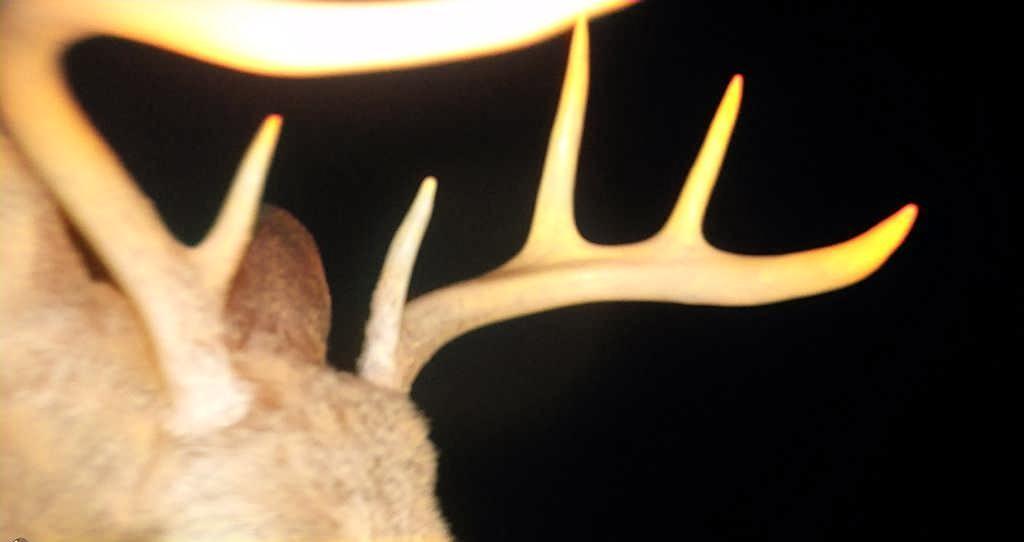 Tbd East Burns Valley Road Winona, MN 55987 - Photo 77 of 82