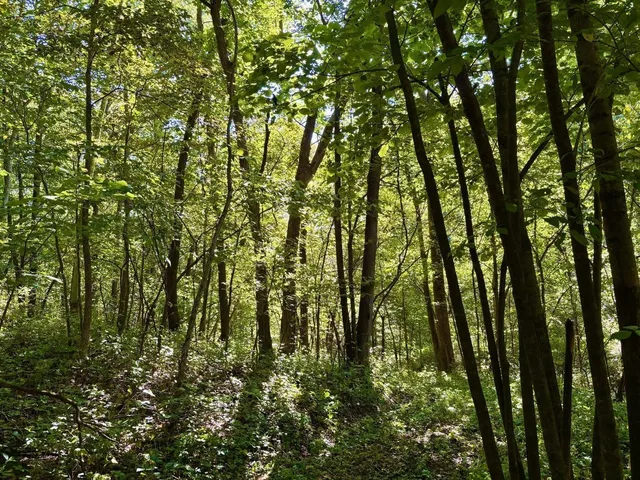 $184,000 | Tbd East Burns Valley Road, Winona, MN 55987