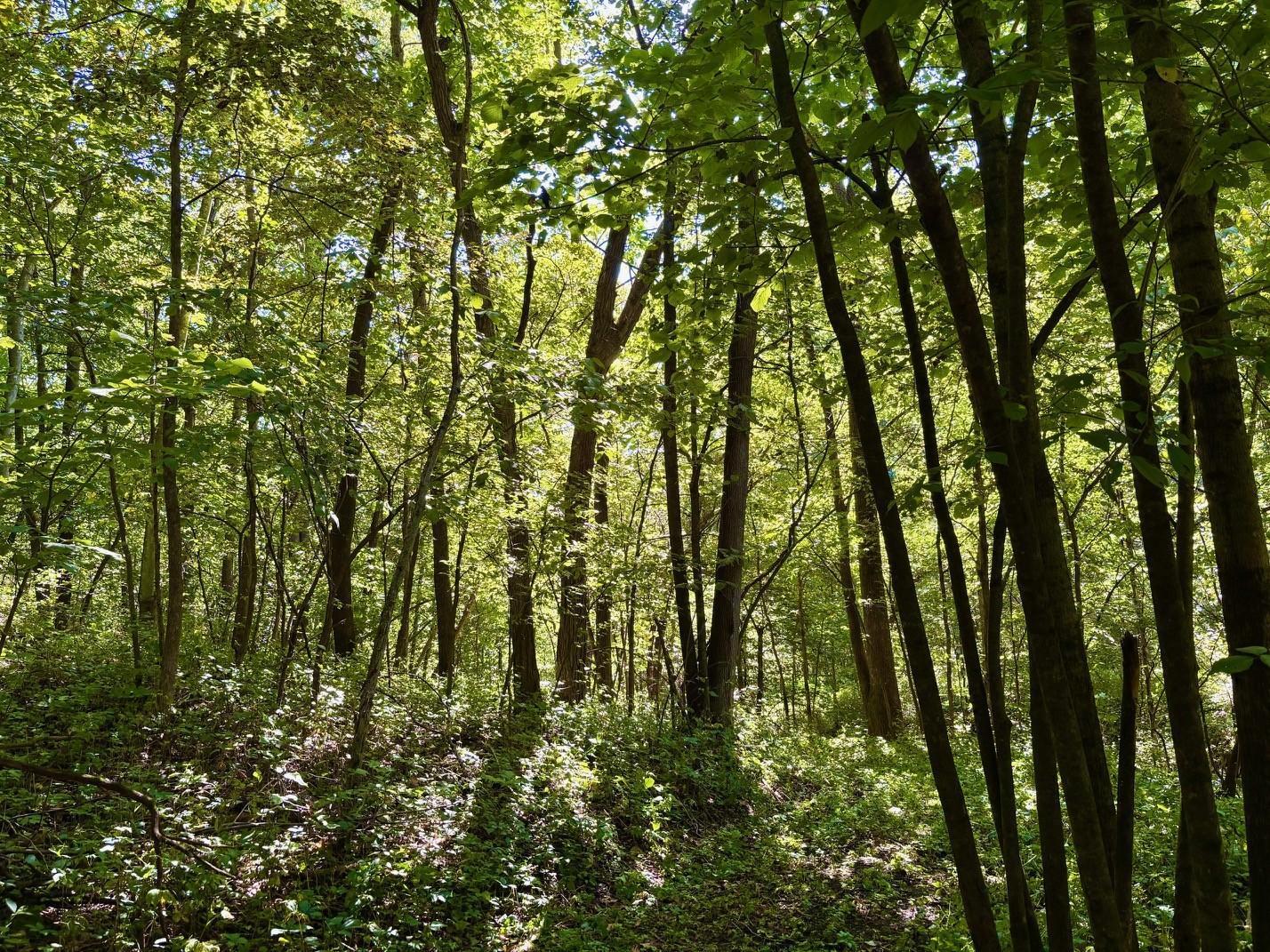 Tbd East Burns Valley Road Winona, MN 55987 - Photo 9 of 82