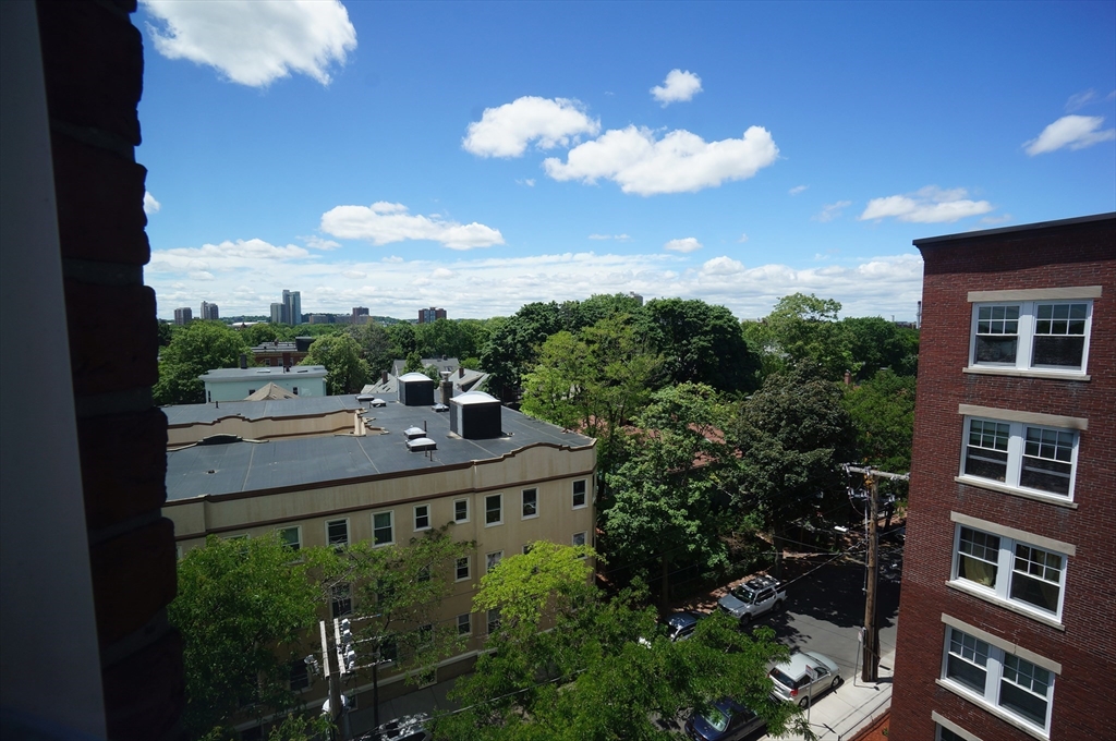 55 Magazine Street, Unit 62 Cambridge, MA 02139 - Photo 3 of 18