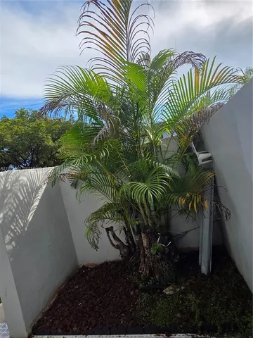 a close up of a plant in a garden