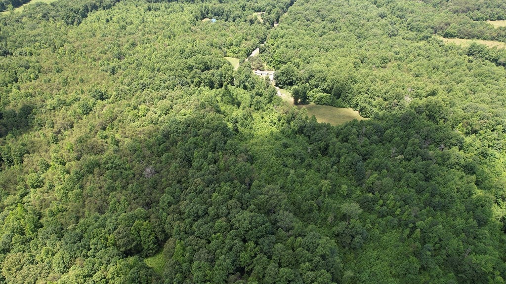 0 Mitchell Road, Unit 2 Pamplin, VA 23958 - Photo 14 of 14 Gallery Image 14