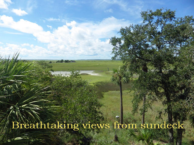 1007 Jungle Road Edisto Island, SC 29438 - Photo 2 of 58 27