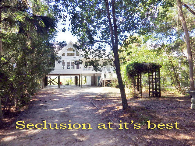 1007 Jungle Road Edisto Island, SC 29438 - Photo 3 of 58 2