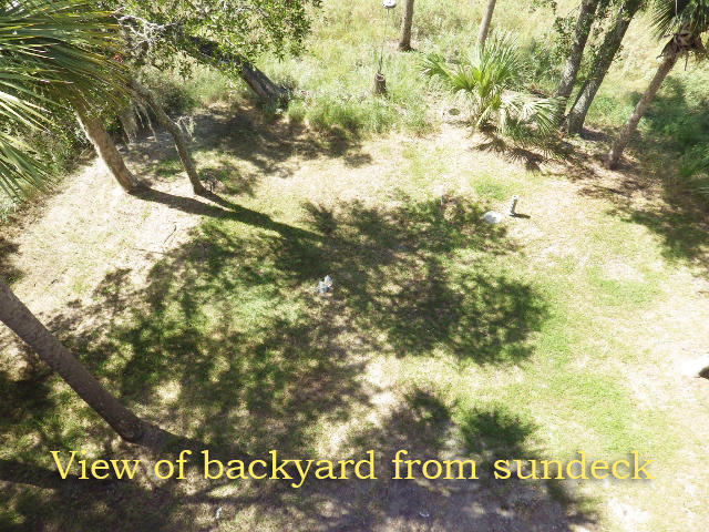 1007 Jungle Road Edisto Island, SC 29438 - Photo 30 of 58 29