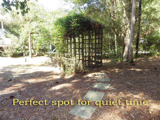 1007 Jungle Road Edisto Island, SC 29438 - Photo 44 of 58 43