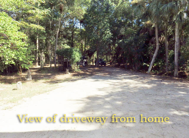 1007 Jungle Road Edisto Island, SC 29438 - Photo 45 of 58 44