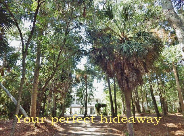 1007 Jungle Road Edisto Island, SC 29438 - Photo 46 of 58 45