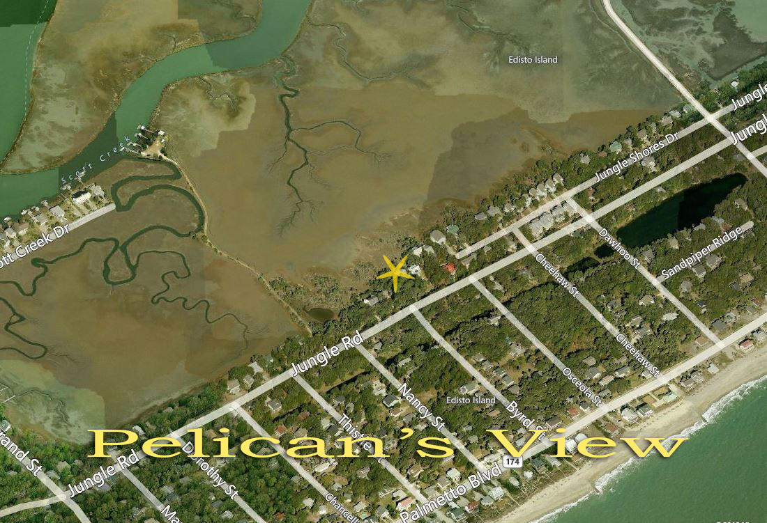 1007 Jungle Road Edisto Island, SC 29438 - Photo 7 of 58 5