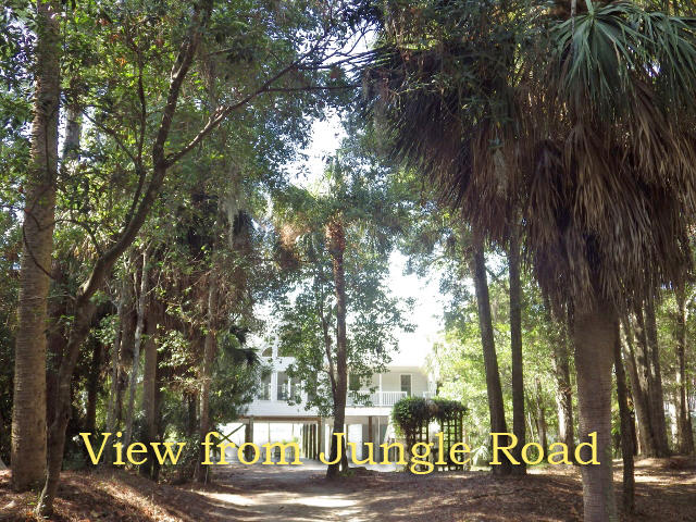1007 Jungle Road Edisto Island, SC 29438 - Photo 9 of 58 6