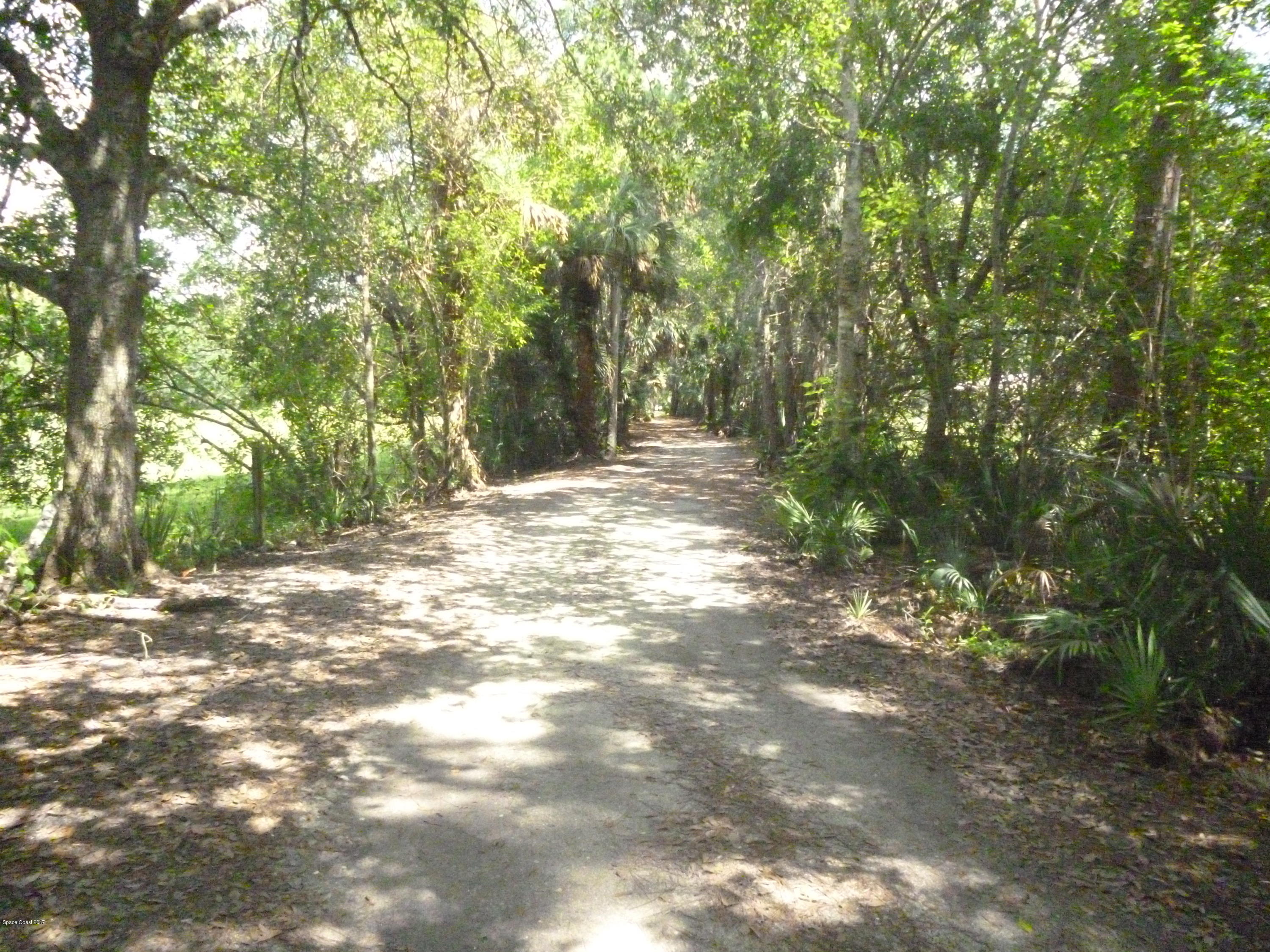 4545 James Road Cocoa, FL 32926 - Photo 12 of 85 P1020165