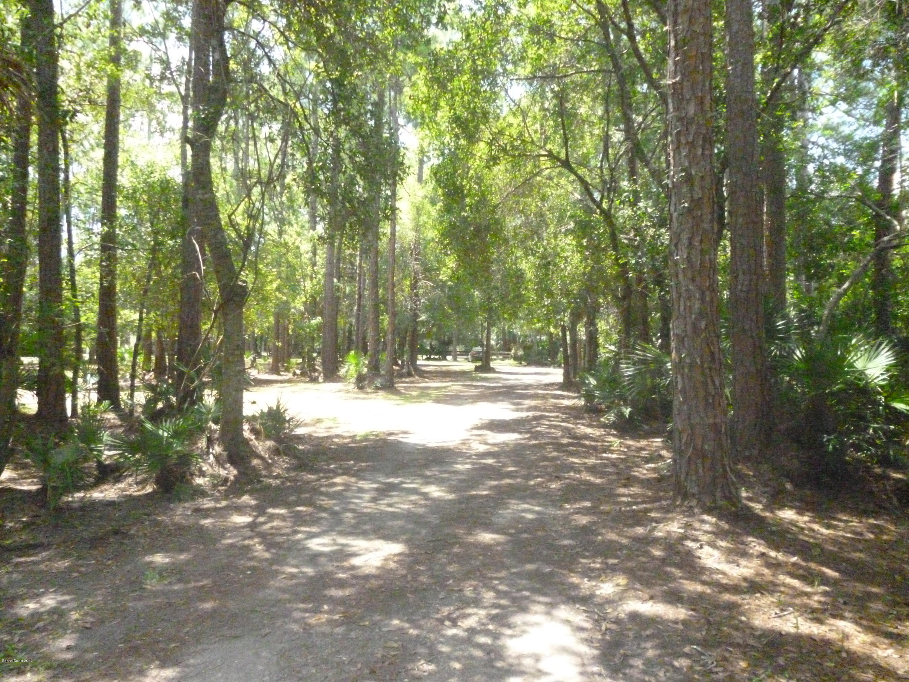 4545 James Road Cocoa, FL 32926 - Photo 15 of 85 P1020168