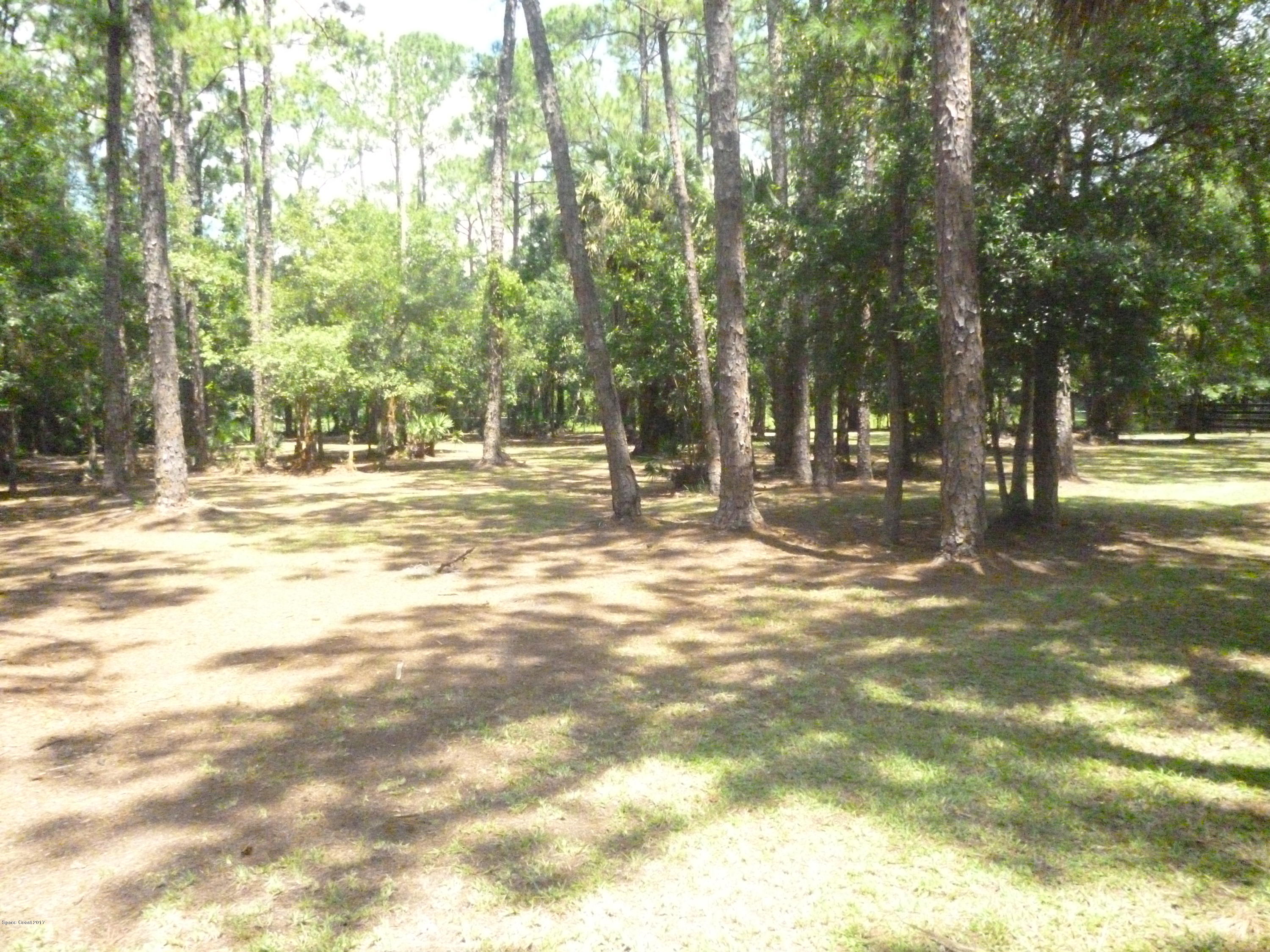 4545 James Road Cocoa, FL 32926 - Photo 21 of 85 P1020176