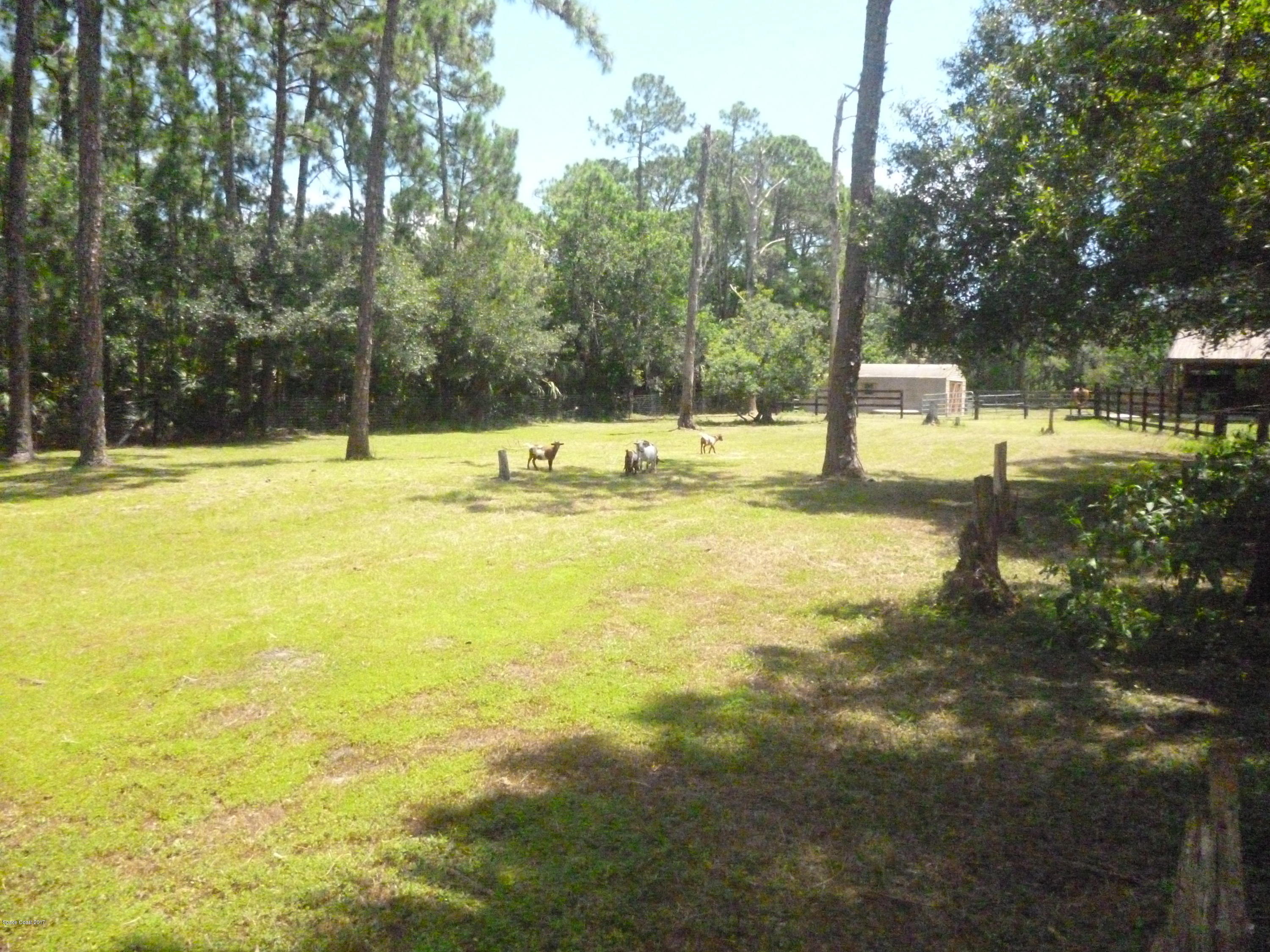 4545 James Road Cocoa, FL 32926 - Photo 22 of 85 P1020179