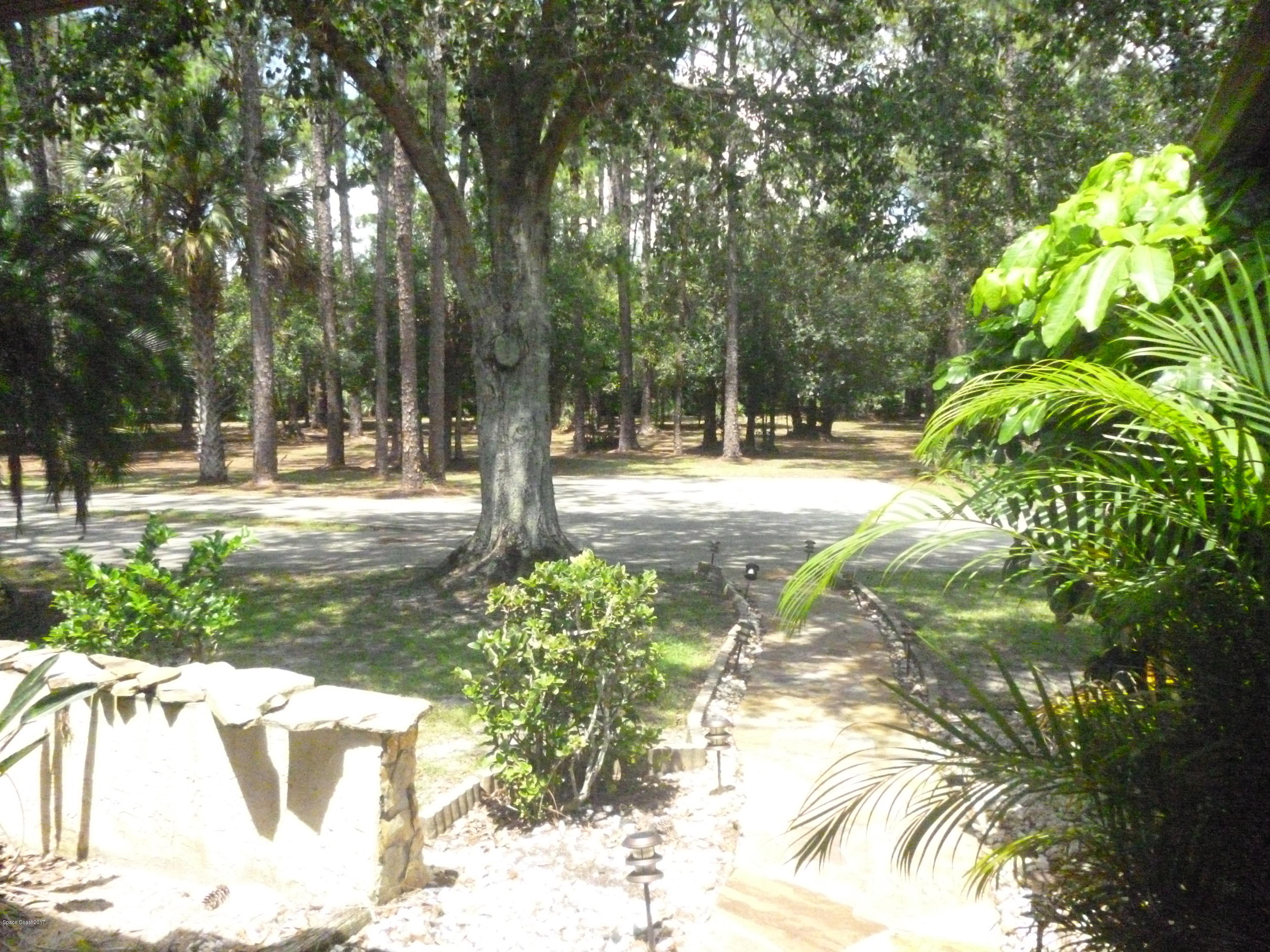 4545 James Road Cocoa, FL 32926 - Photo 25 of 85 P1020188