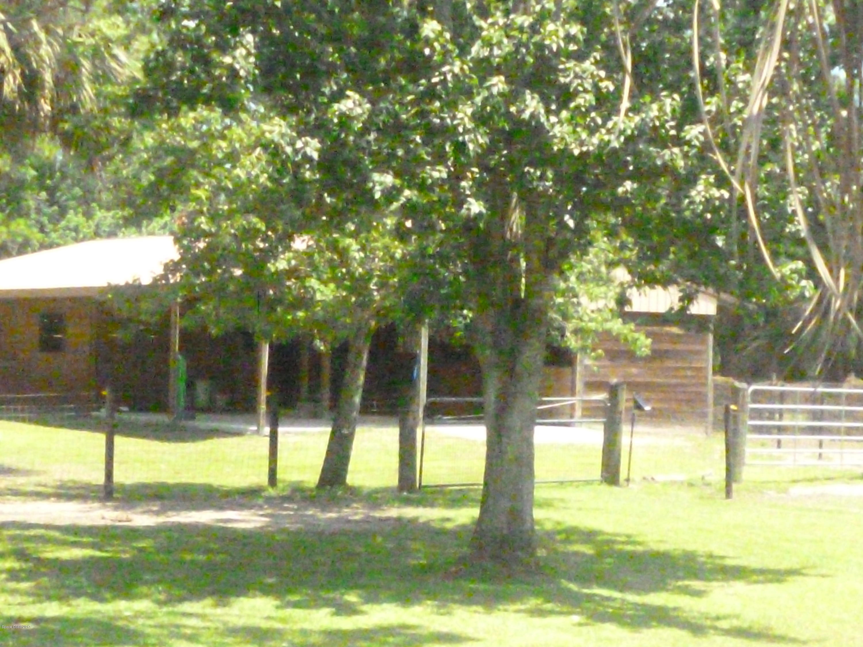 4545 James Road Cocoa, FL 32926 - Photo 72 of 85 P1020235