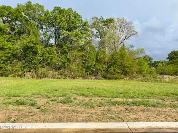 $75,000 | 0 Plainview Drive, Vicksburg, MS 39180