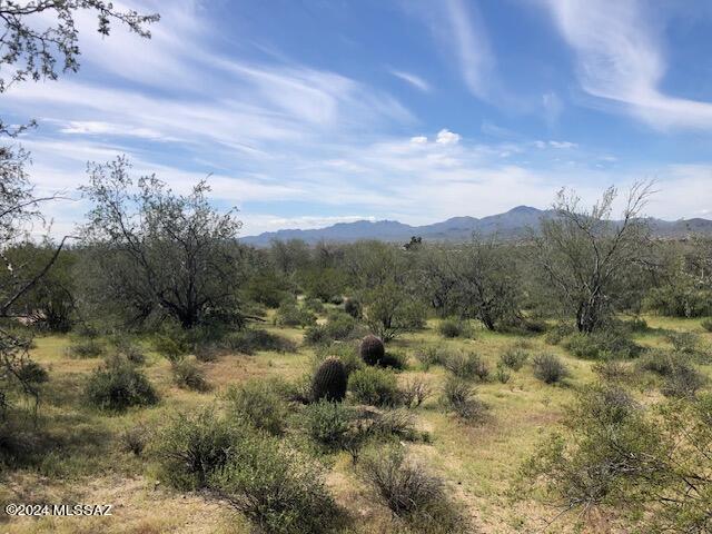 West Cortaro Farms Road Tucson, AZ 85742 - Photo 7 of 10