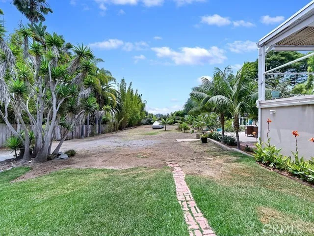a view of a yard with plants and a trees