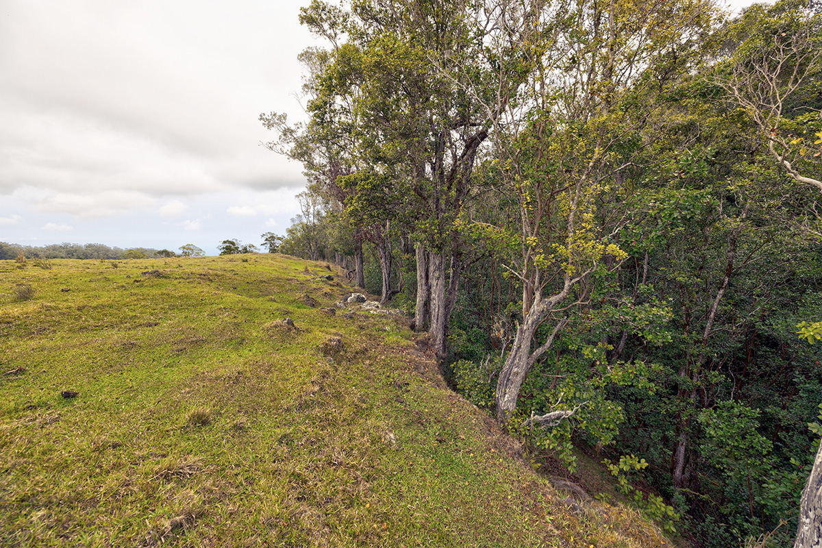 44-2135 Pohakealani Road Paauilo, HI 96776 - Photo 20 of 28 a view of an ocean view