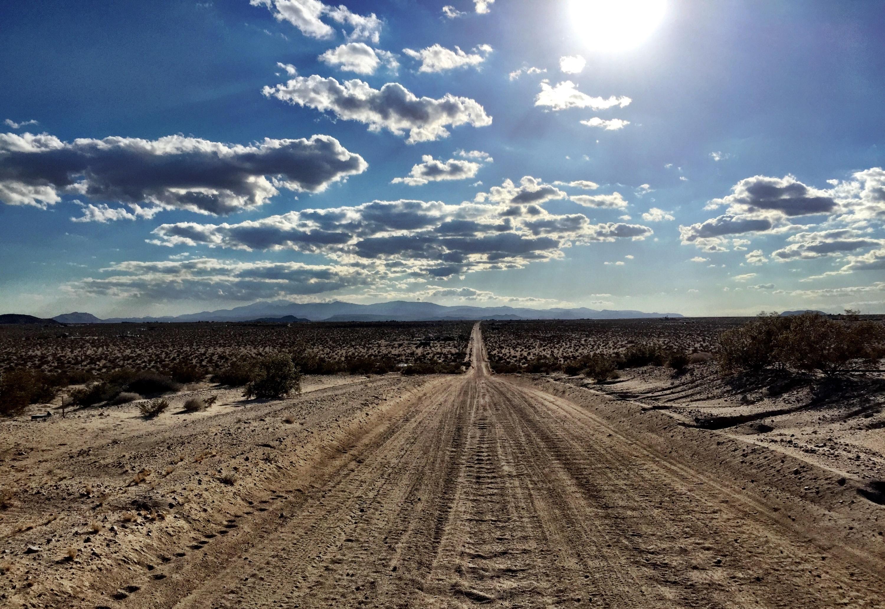 66855 Winters Road Joshua Tree, CA 92252 - Photo 16 of 19 a view of a yard with wooden fence