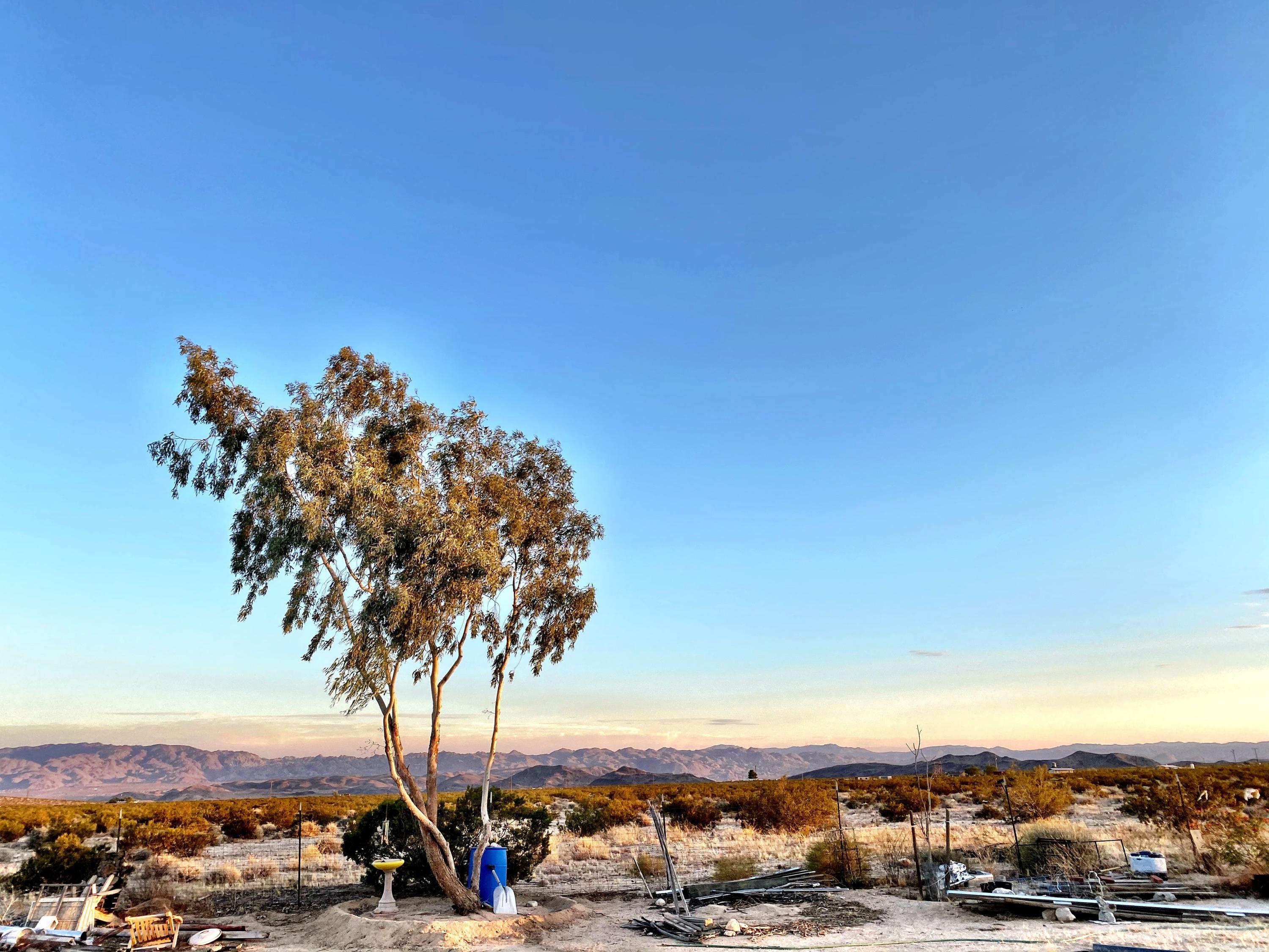 66855 Winters Road Joshua Tree, CA 92252 - Photo 7 of 19 a view of outdoor space with mountain view
