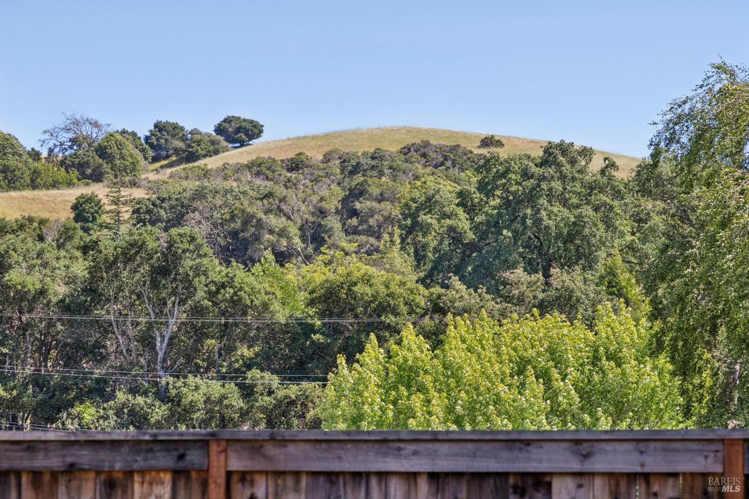115 Daryl Avenue Novato, CA 94947 - Photo 35 of 53