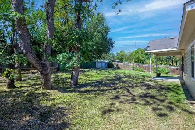 a view of a garden with a tree