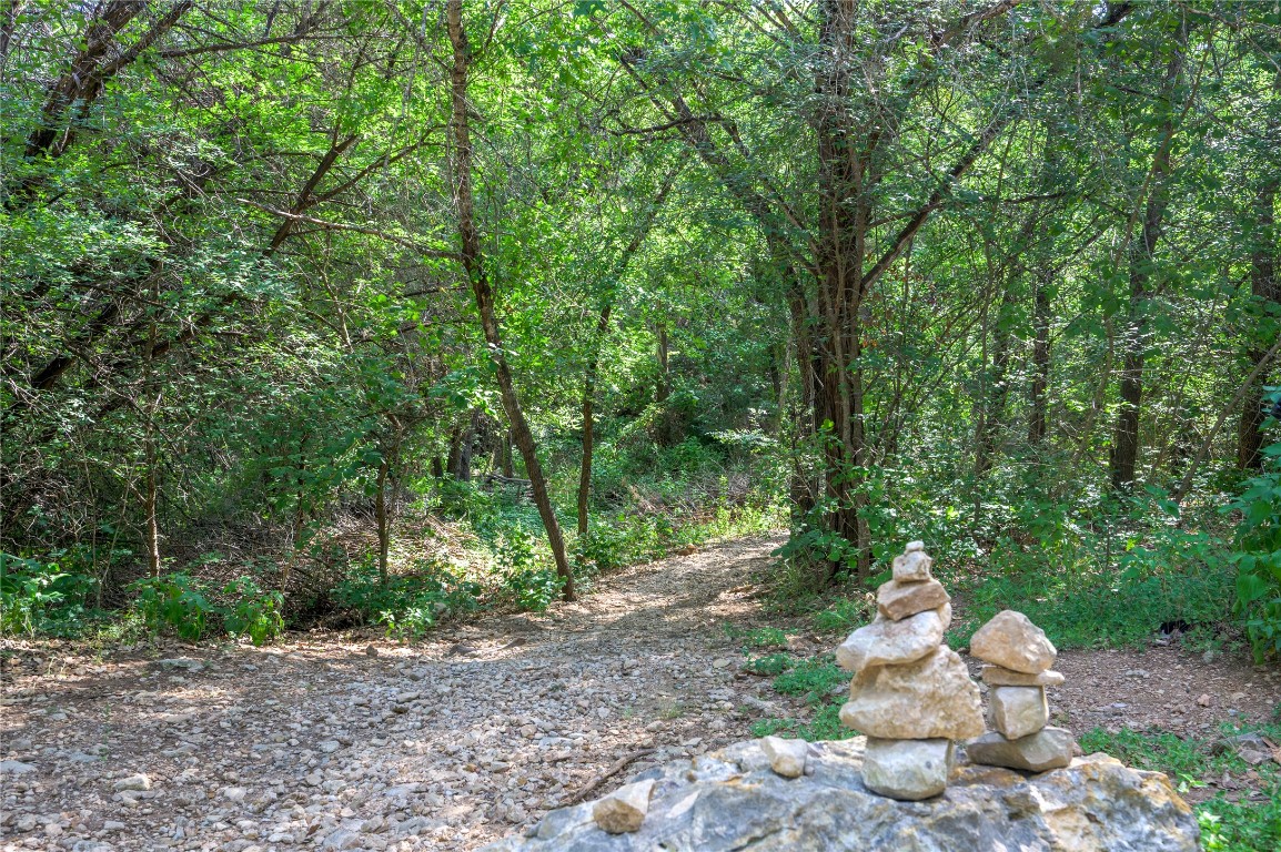 2016 Whitebead Trail Austin, TX 78734 - Photo 30 of 31 a view of a forest with trees
