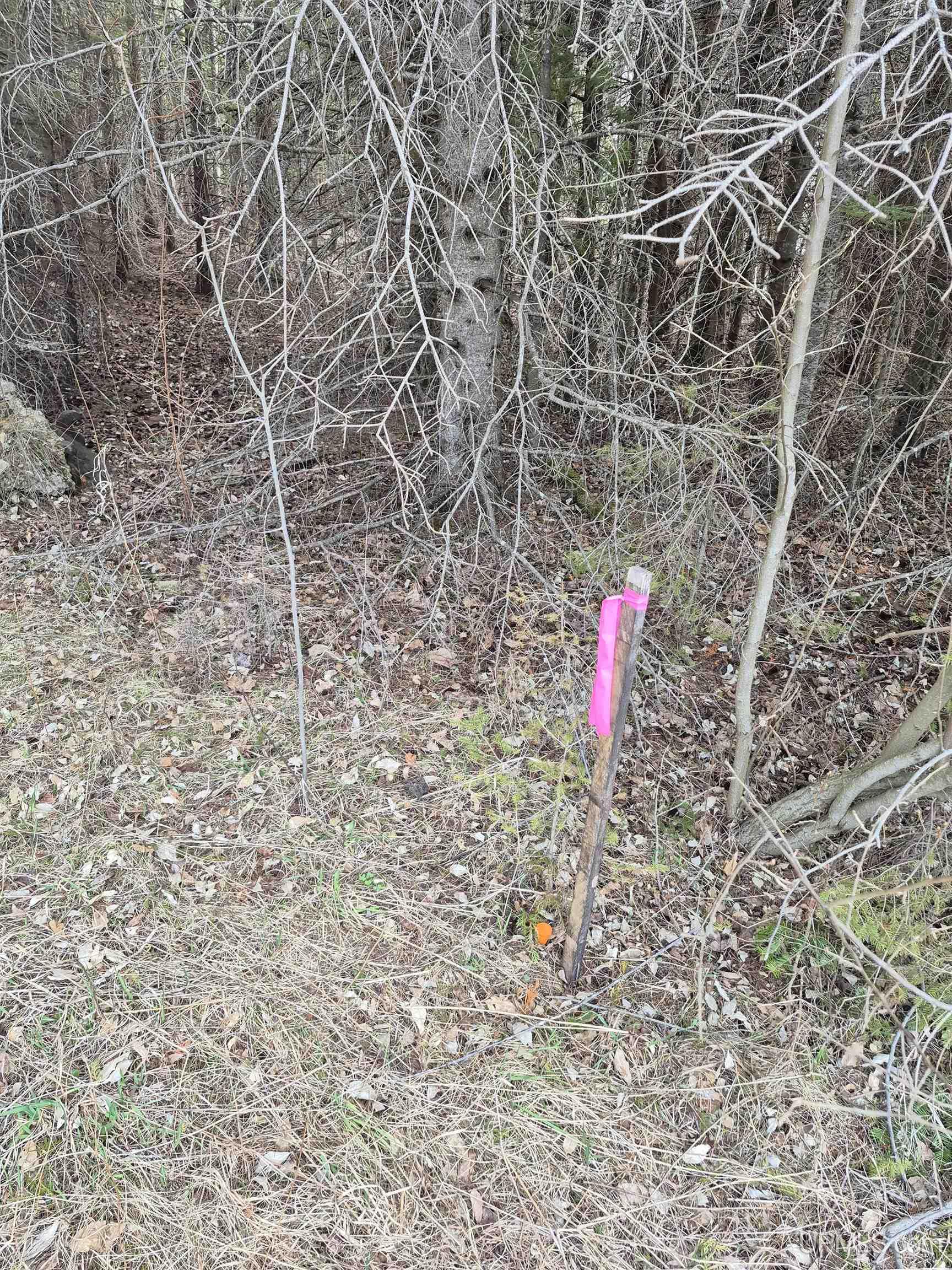 3754 Quarry Road Gulliver, MI 49840 - Photo 19 of 77