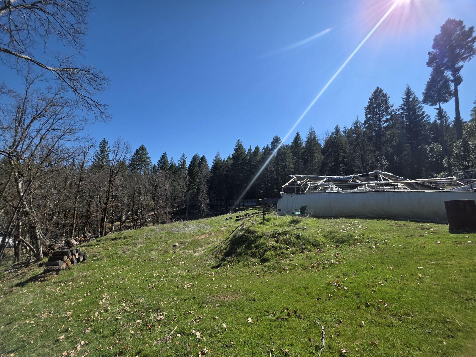 2141 Mc Alexander Road Hayfork, CA 96041 - Photo 28 of 29 mc29