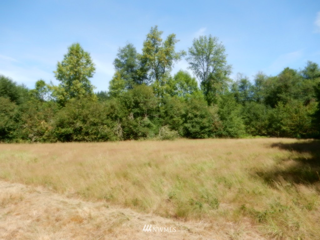 108 Annonen Road Winlock, WA 98596 - Photo 8 of 8