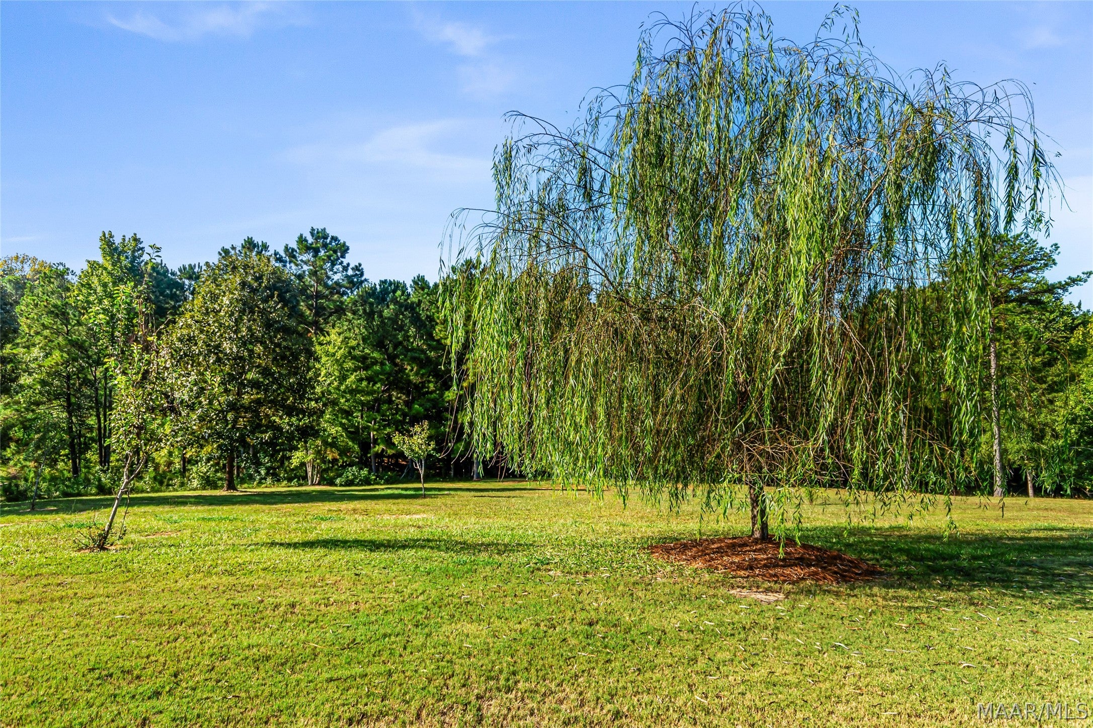 595 Nero Rock Road Eclectic, AL 36024 - Photo 47 of 62 Gallery Image 47