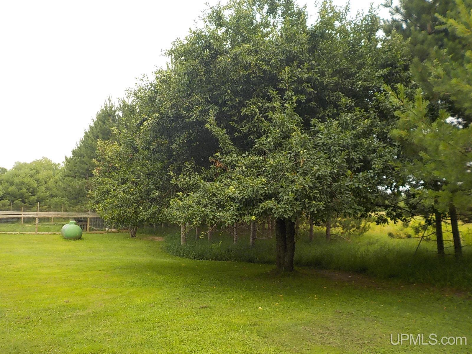 285 Clark Road Crystal Falls, MI 49920 - Photo 72 of 77 Gallery Image 72