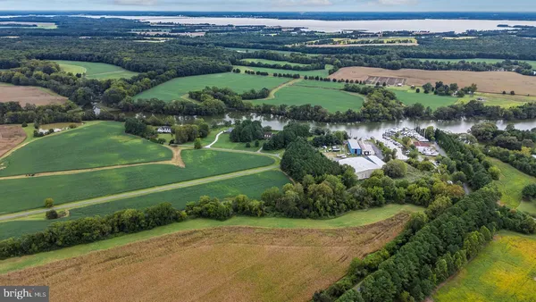 a view of a park with large trees