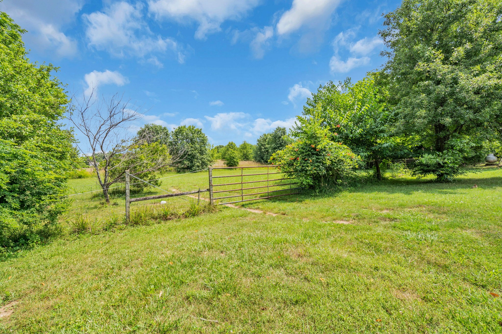 5164 Drake Road Cedar Hill, TN 37032 - Photo 42 of 46 Gallery Image 42