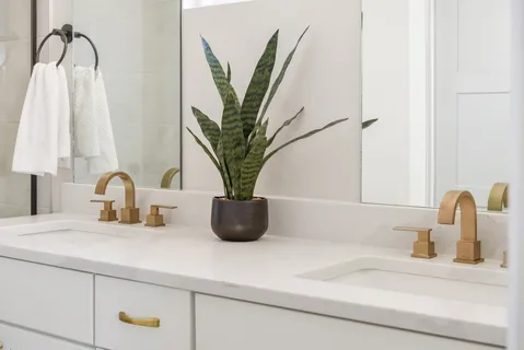 a bathroom with a potted plant