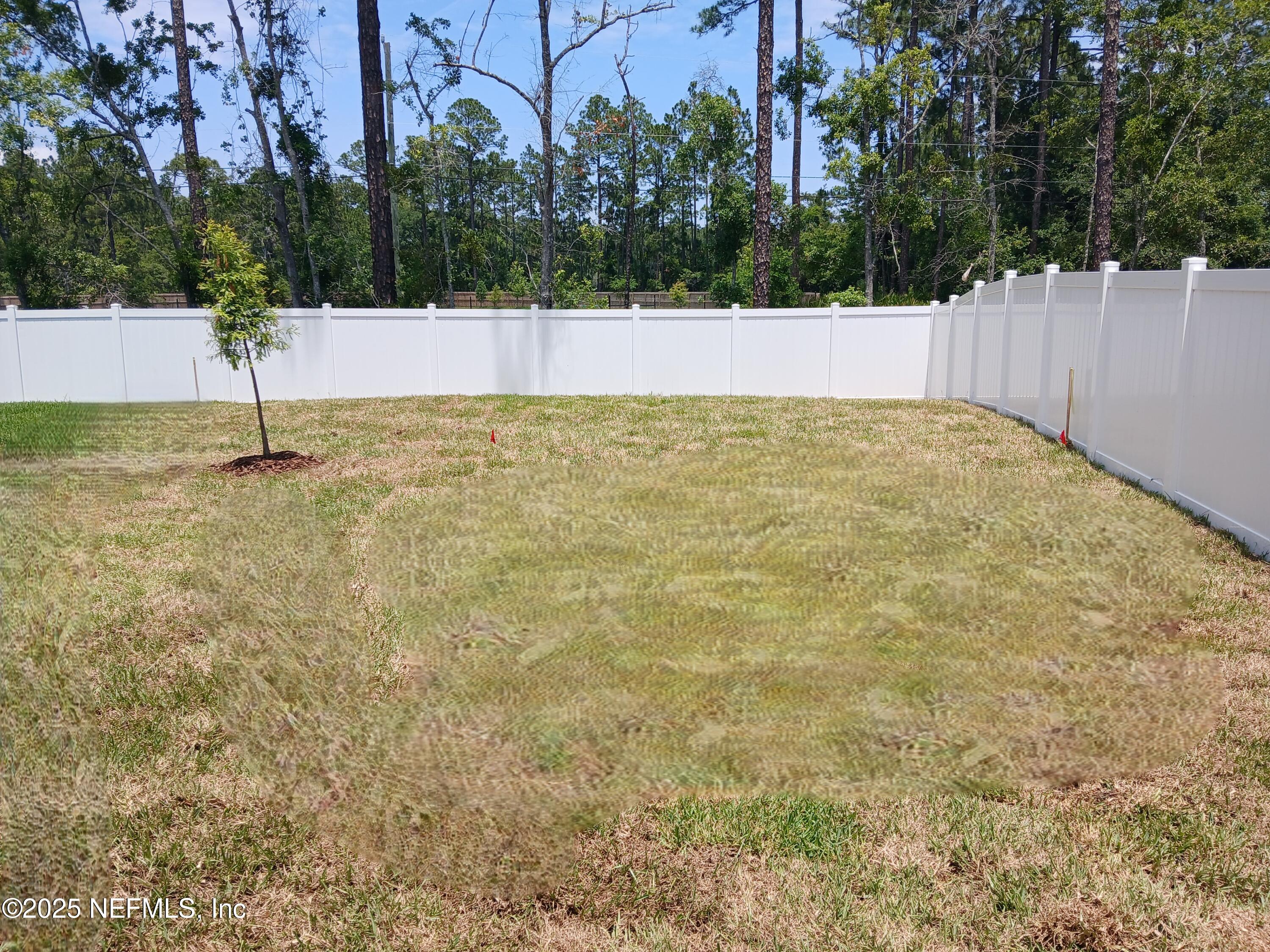 96301 Broadmoore Road Fernandina Beach, FL 32034 - Photo 3 of 6 Lot 25 -Rear yard