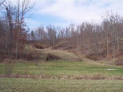 2 Quicks Run Road Vanceburg, KY 41179 - Photo 1 of 1 Photo 1