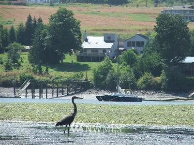 241 Mats View Road Port Ludlow, WA 98365 - Photo 1 of 1 Gallery Image 1