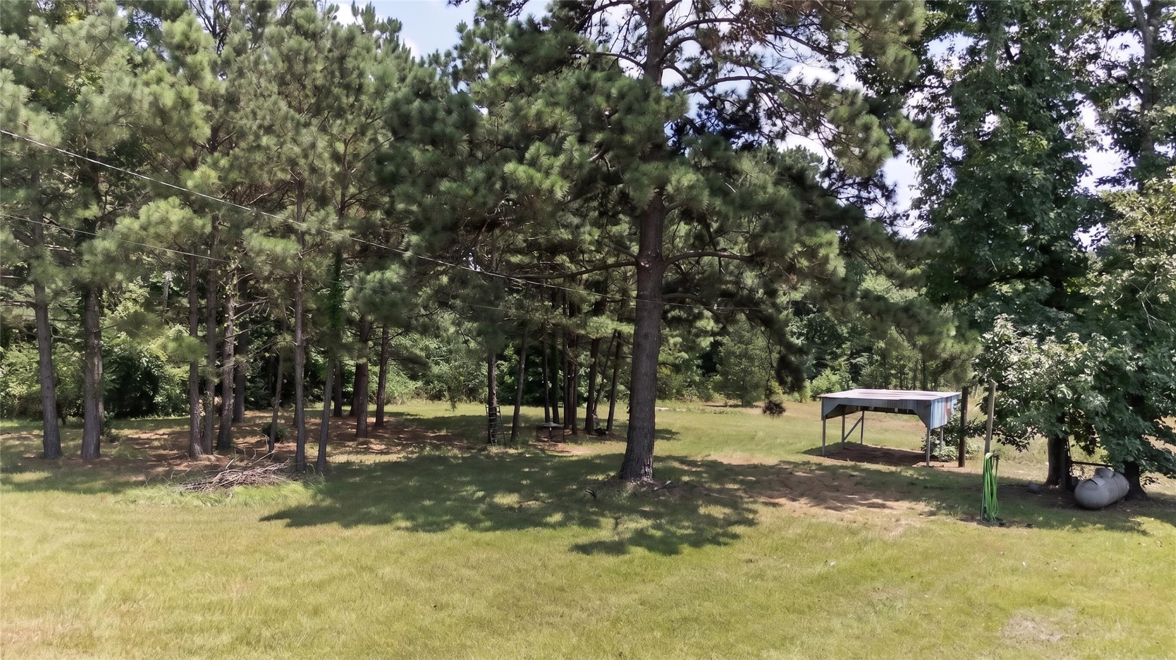 831 County Road 1207 Rusk, TX 75785 - Photo 13 of 45